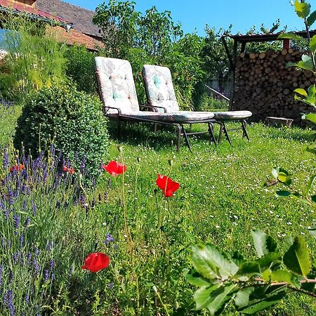 Ferienwohnung Loft Eifel Idylle Nettersheim Exterior foto