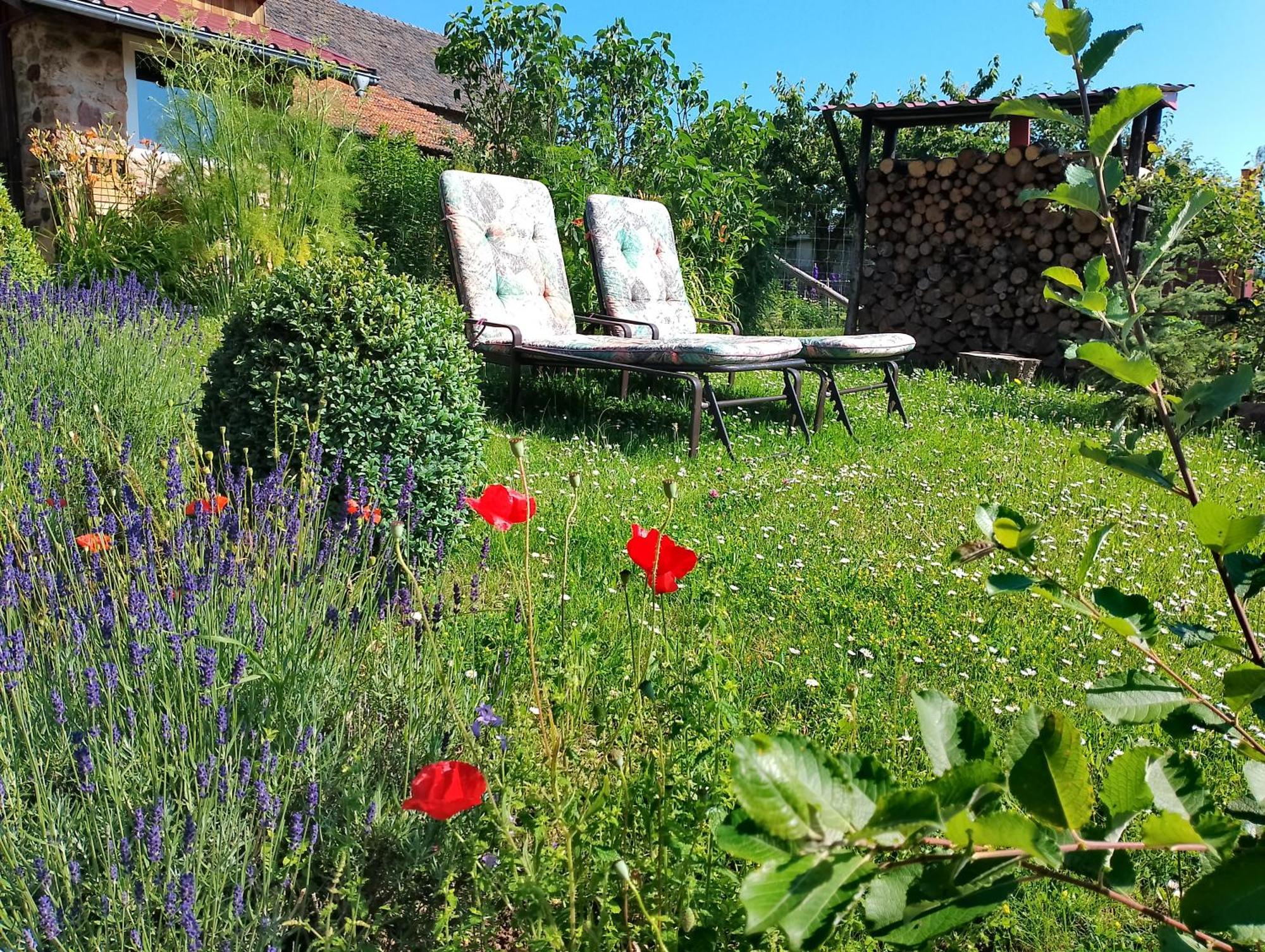 Ferienwohnung Loft Eifel Idylle Nettersheim Exterior foto
